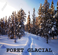 foret_glacial.png