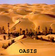 oasis.png