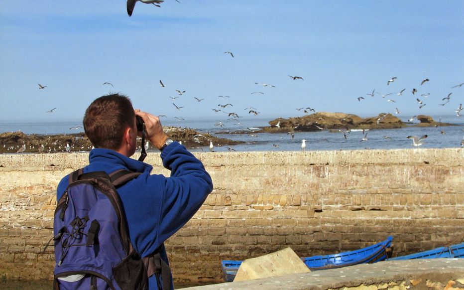 ornithologie.jpg